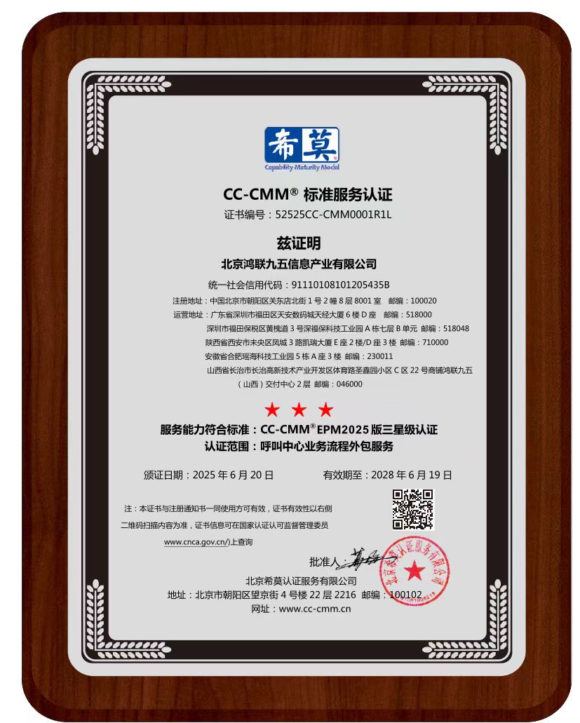 北京鸿联九五信息产业有限公司